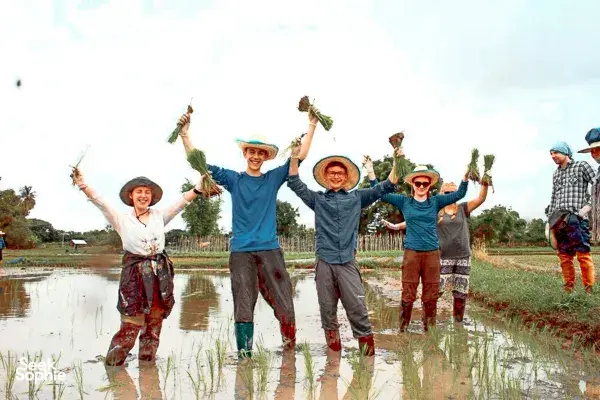 1日自然体验 | 泥屋建造、正念冥想与植物染布