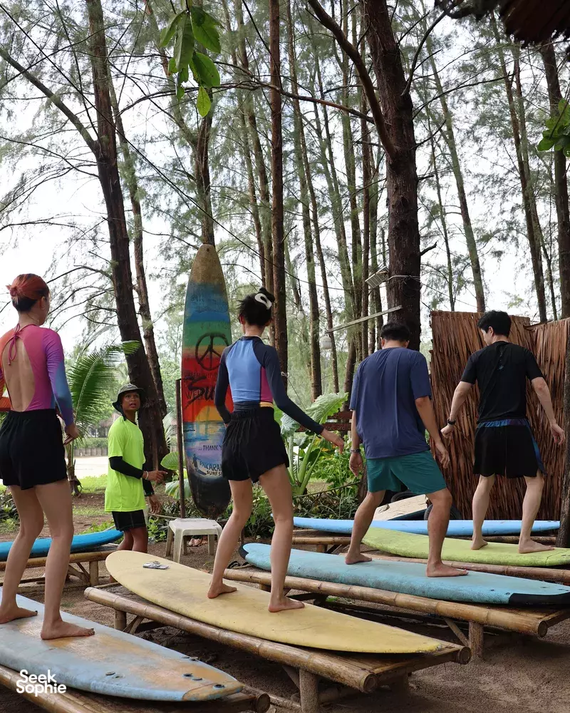 Seek Sophie option picture