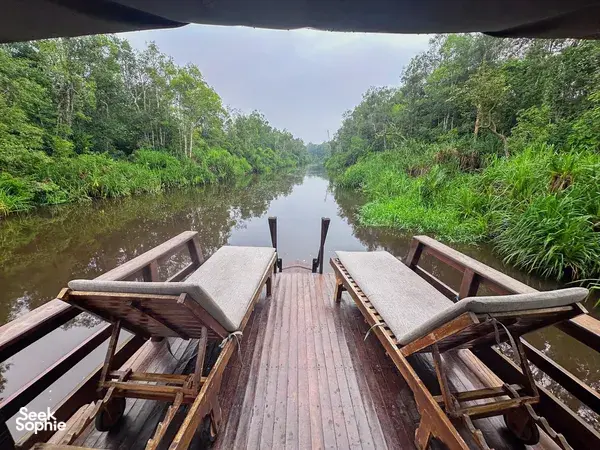 4D3N Private Orangutan Cruise | Comfy Boat + Better Wildlife Sightings