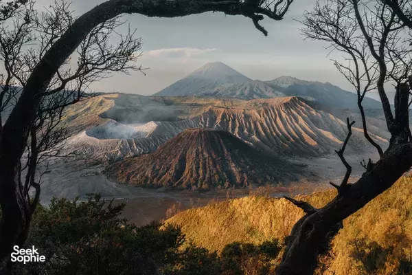 5D4N Mt Bromo, Tumpaksewu, Ijen & Turtles