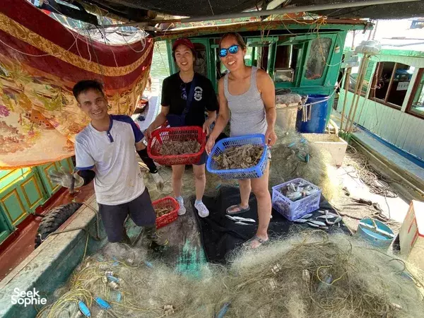 1 Day Hidden Lan Ha Bay Cruise | Secret Spots, Crabbing & Beach BBQ