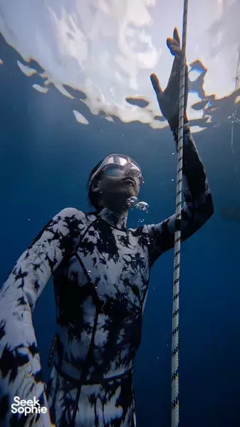 2日自由潜水课程|适合新手的顶级教练带你入门