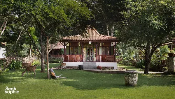 Indonesian retreat bungalow in a lush garden: a red-roofed wooden house on the lawn with deer grazing nearby