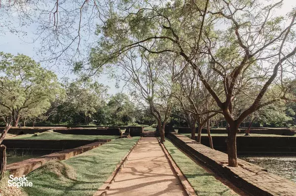 4-Hr Sigiriya Forest Sunrise Nature Walk with Naturalist