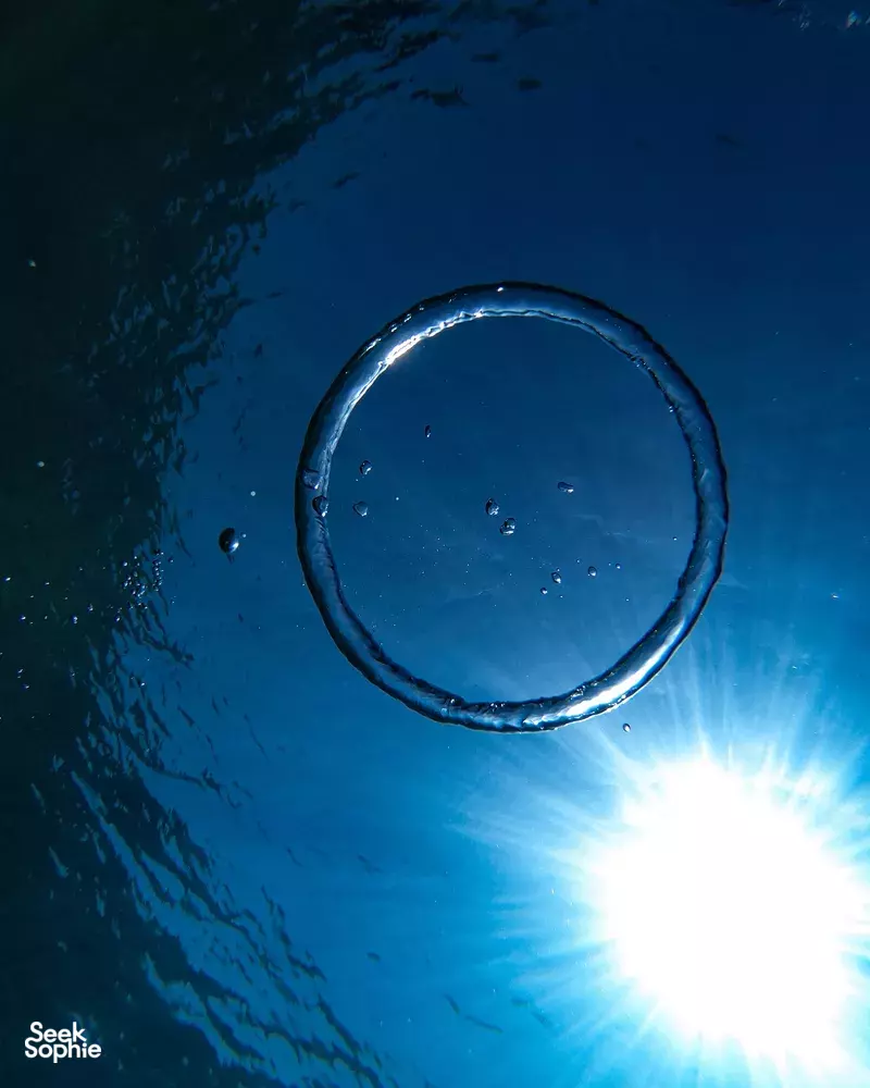 Seek Sophie option picture