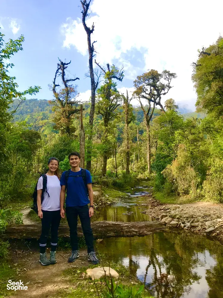 Seek Sophie option picture