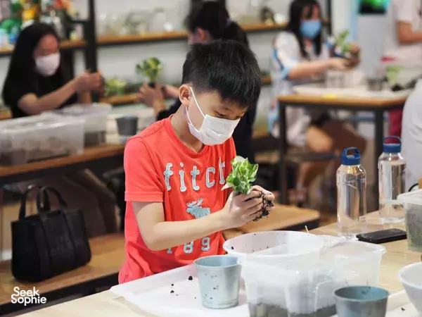 Masked participant shaping a Japanese kokedama moss ball with a small plant at a private workshop at J² Terrarium workshops in Singapore