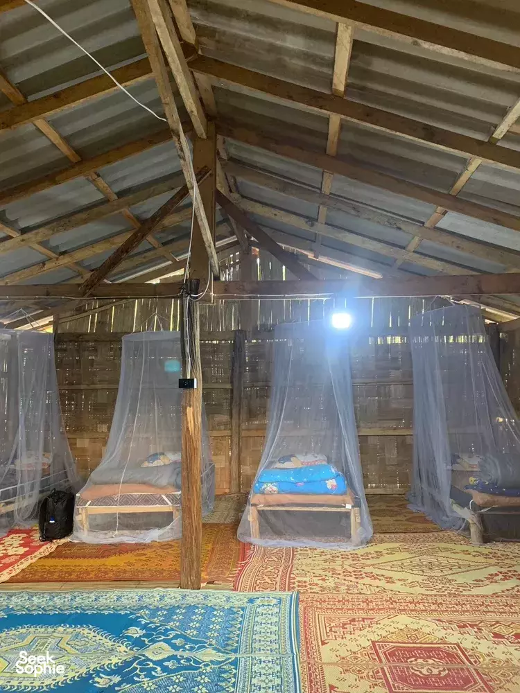 Seek Sophie option picture