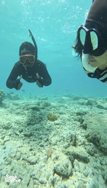 Support Shark Conservation in Lombok | Snorkel with Ex-Shark Fishermen