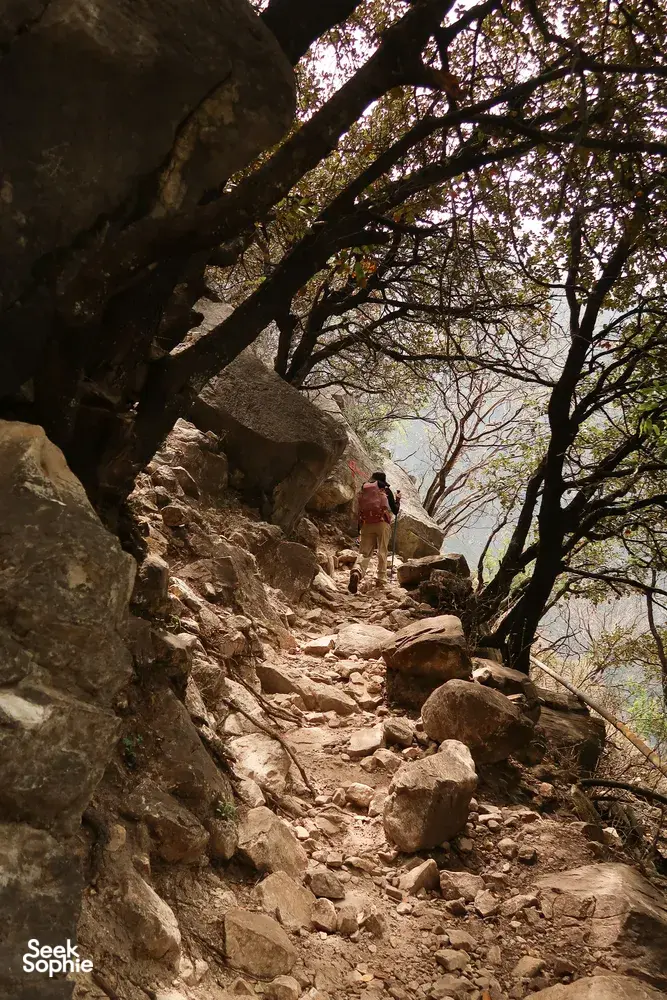 A hiker pauses on a tree-lined, stone trail on the Tiger Leaping Gorge high trail in Lijiang, framed by rocky cliffs