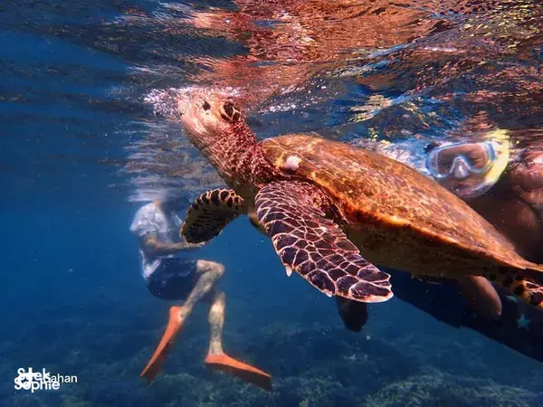 Water Activities in Sri Lanka