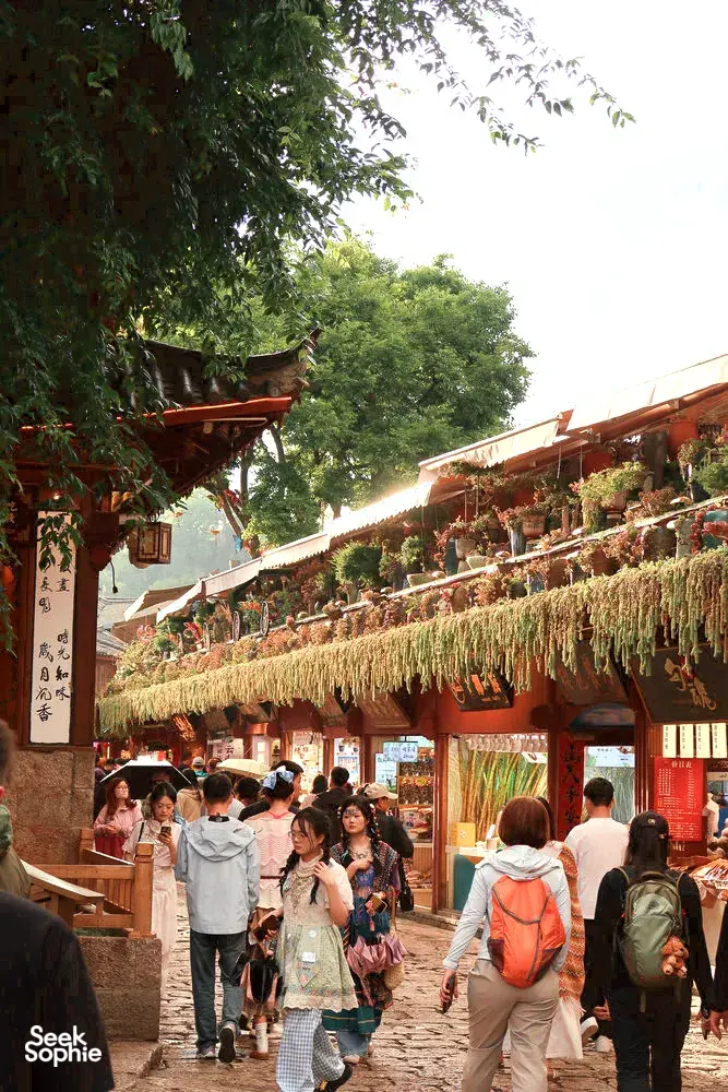 Lijiang Old Town market lane with a local guide, travellers strolling past wooden shops and rows of hanging goods under trees