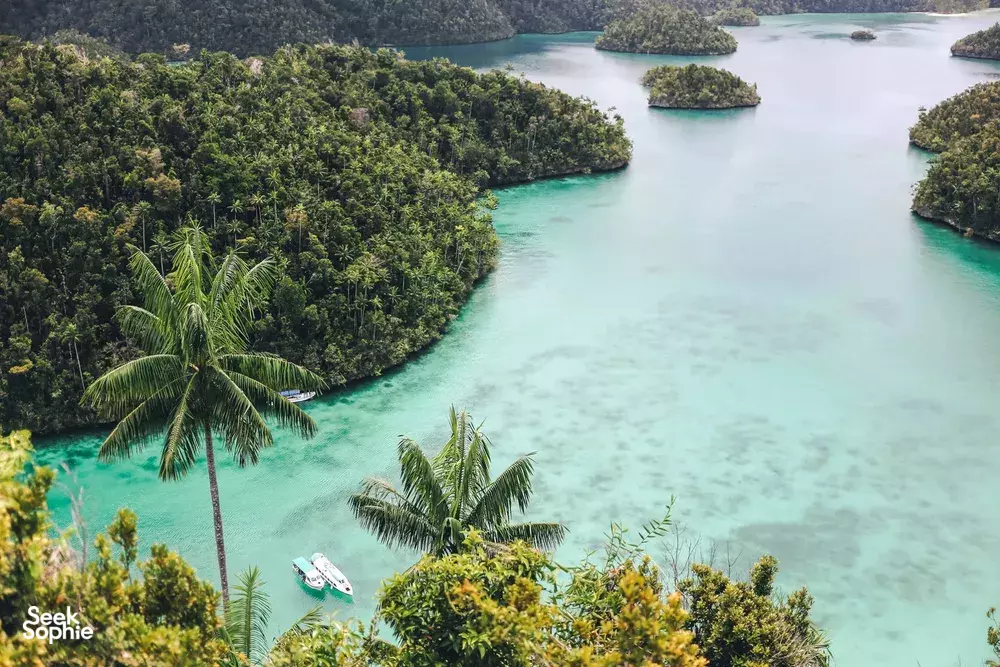 Seek Sophie option picture