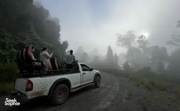 Travellers seated in the back of an open-top 4x4 on a foggy rainforest track during the Deramakot safari