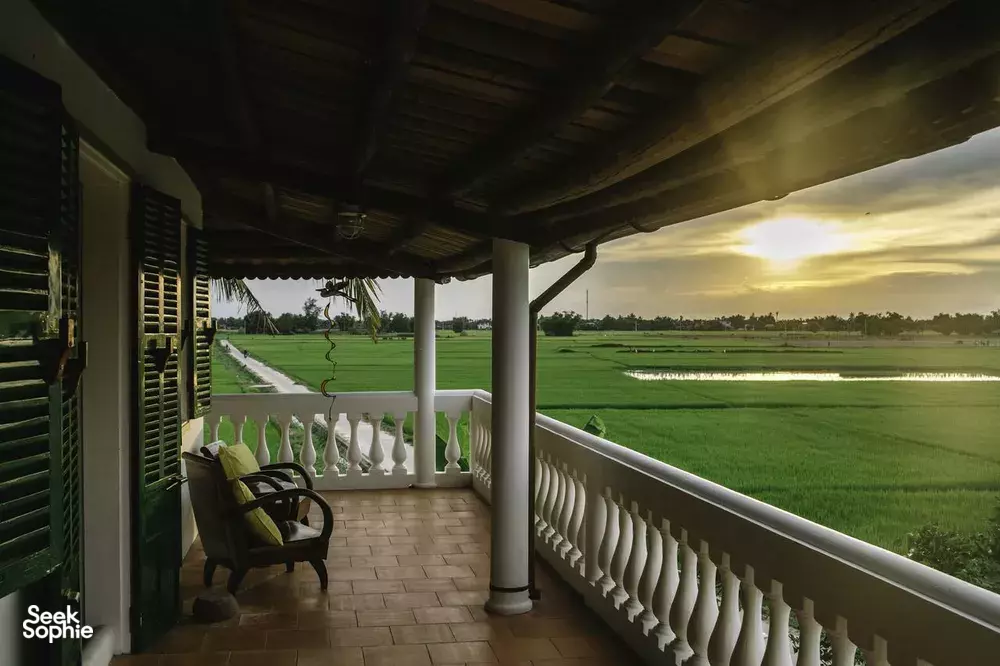 Seek Sophie option picture