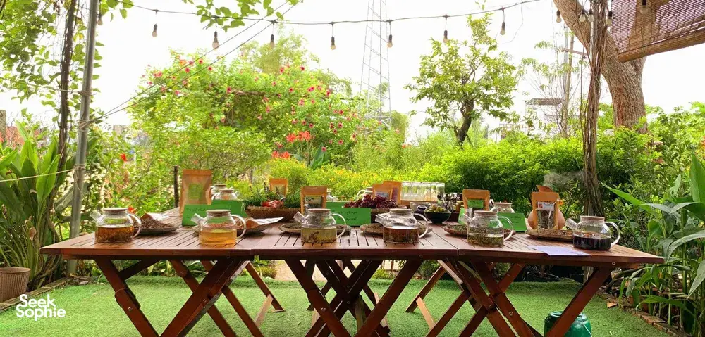 Seek Sophie option picture