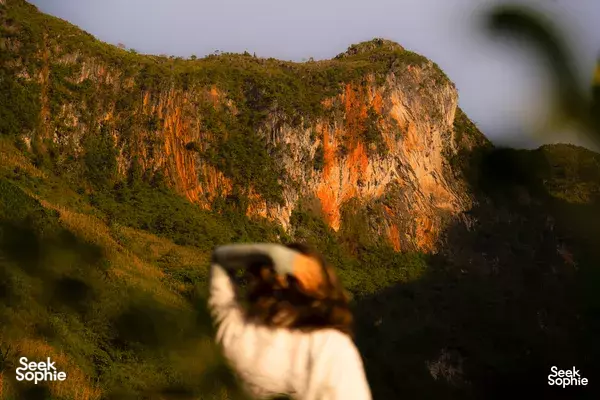 Sunlit rugged limestone cliff in Ha Giang at golden hour, with softly blurred leaves framing the foreground