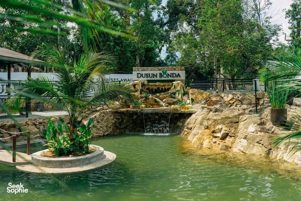 Seek Sophie option picture