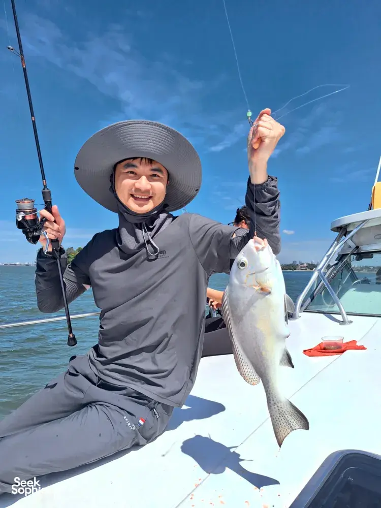 Seek Sophie option picture