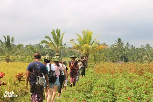 Travellers walk along a rural path through green fields and palm trees in Bali during the Magical Owl Village & Conservation experience