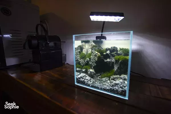 Reka Akuaskap Air Tawar Anda Sendiri