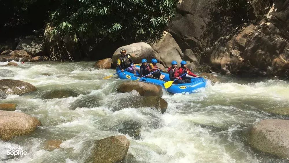 Seek Sophie option picture