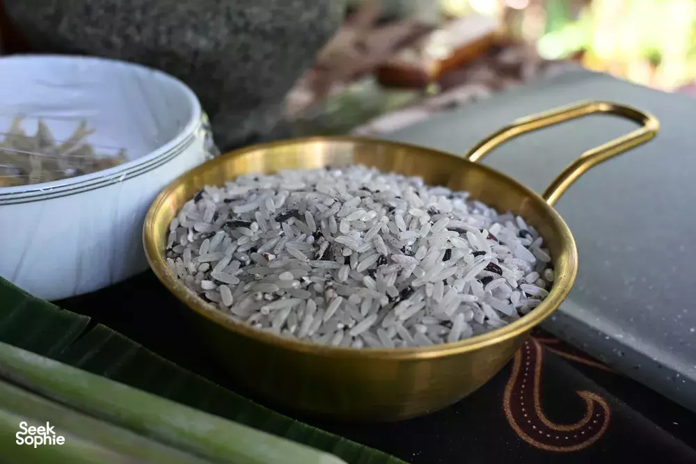 Seek Sophie option picture