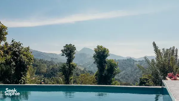 Infinity swimming pool overlooking lush tea slopes and misty mountains at Old Frankland Tea Estate, Kandy for a 1-night stay