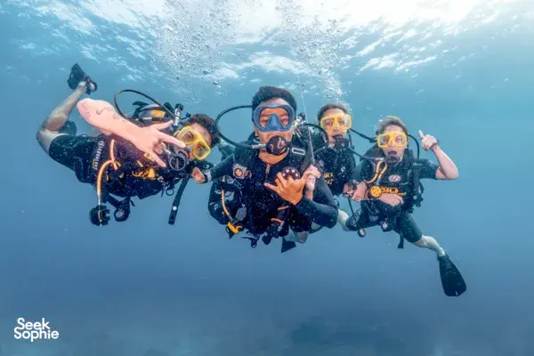 Coba Menyelam di Gili Trawangan | Tidak perlu pengalaman menyelam!