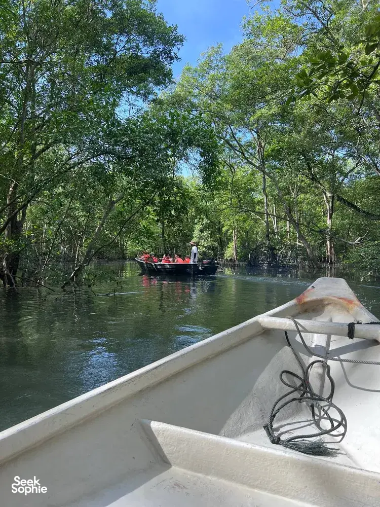 View from a boat along mangrove waterways in Johor Bahru, with trees arching overhead during a private coastal tour
