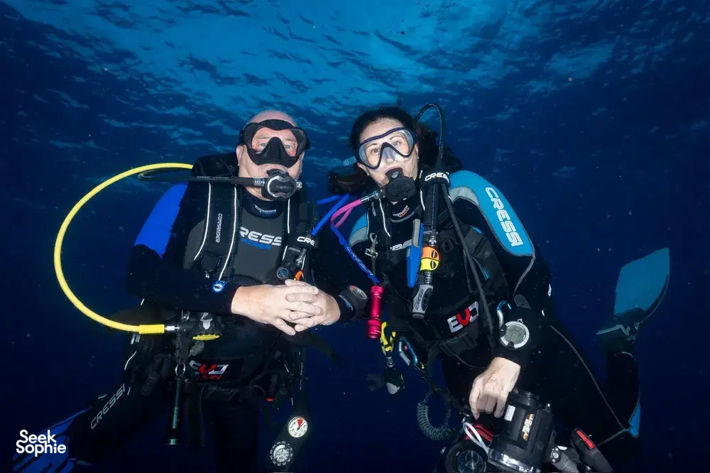 Seek Sophie option picture