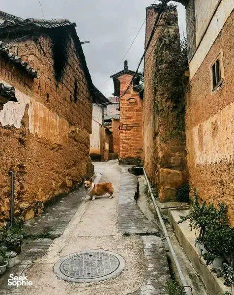 Narrow alleyway in Dali’s ancient pottery village lined with weathered brick houses, with a dog resting on the path