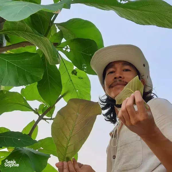 Hidden Eco-Print Workshop Near Chiang Mai Forests