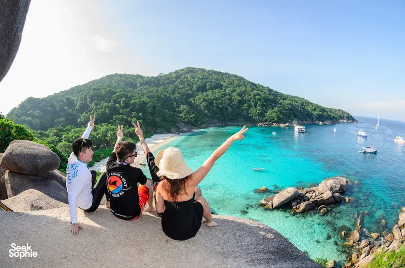 Seek Sophie option picture