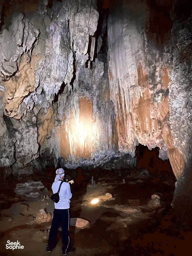 Seek Sophie option picture