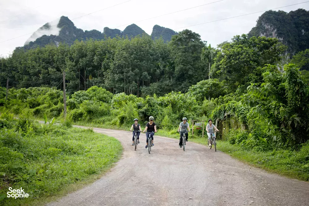 Cyclists ride along a gravel track through lush rainforest with limestone hills during a bike outing, Khao Sok National Park