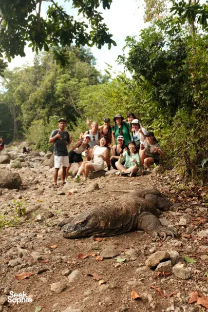 Group watching a Komodo dragon on a rocky path on Rinca Island during a Komodo day trip from Labuan Bajo — Komodo dragons