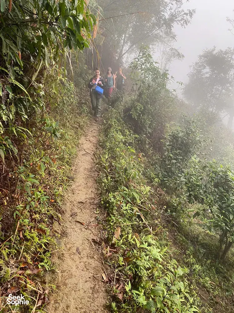 Ha Giang trek trail through dense greenery and morning mist, travellers walking the narrow dirt path to reach the villages