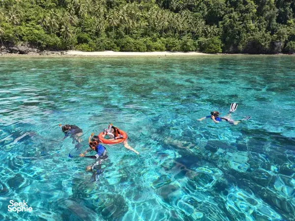 Snorkelling in clear shallow water off Semporna near a forested shoreline during a Bohey Dulang & Islands trip with Bigfin Divers