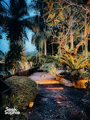 Japanese Style BBQ in Lush Bukit Timah Jungle