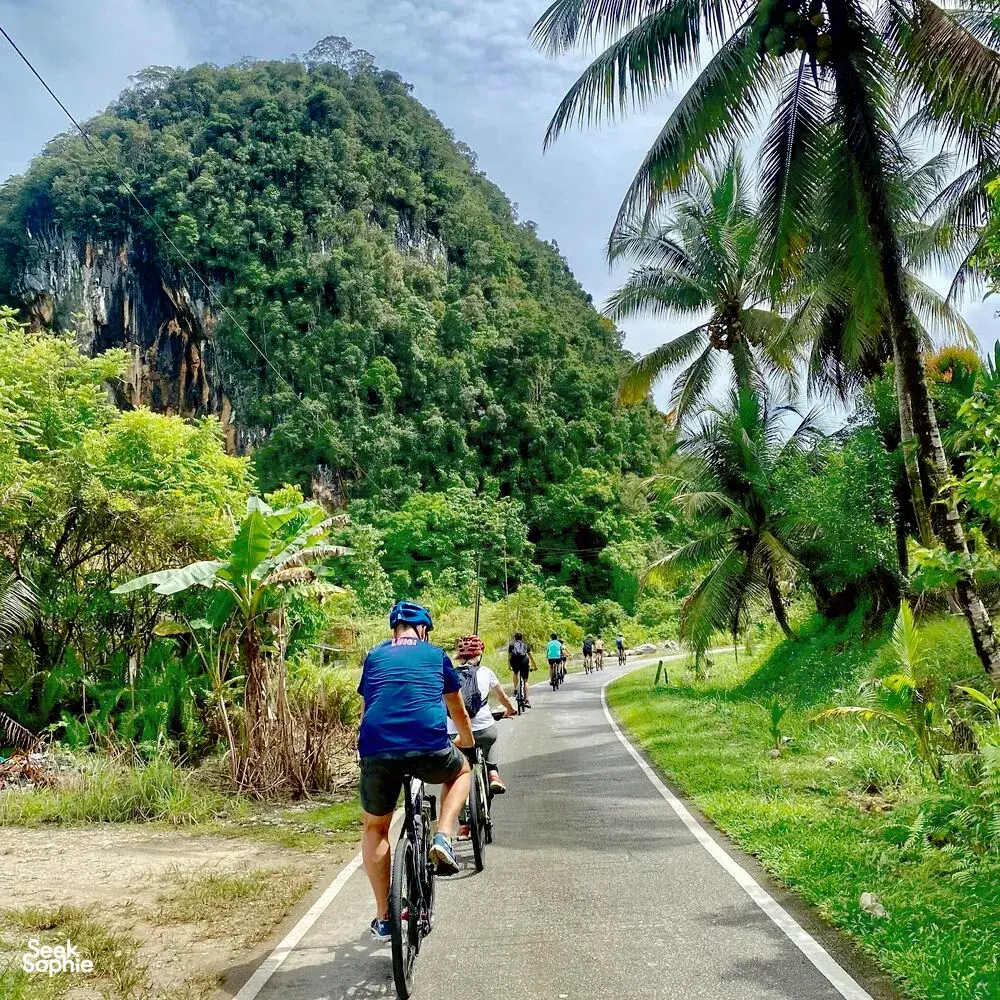 Cyclists pedalling along a quiet road through lush rainforest near Kuching on a Paradesa Borneo jungle cycling adventure
