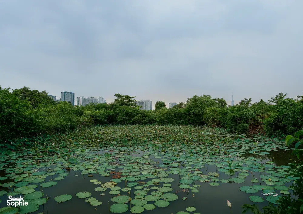 Seek Sophie option picture