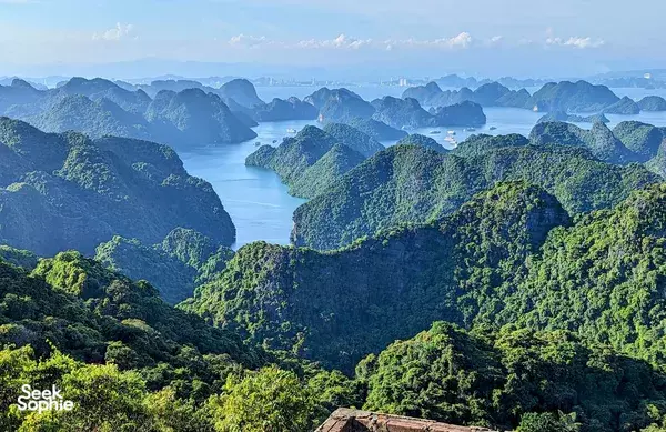 Unique 3D2N Cruise & Floating Homestay Combo from Cat Ba