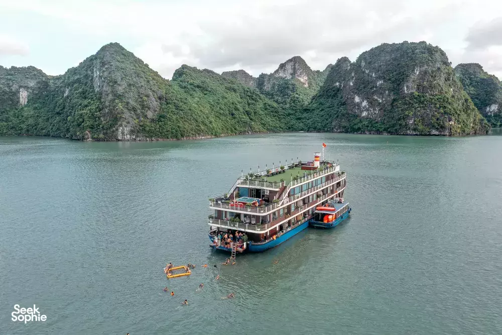 Seek Sophie option picture