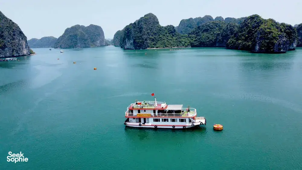 Seek Sophie option picture