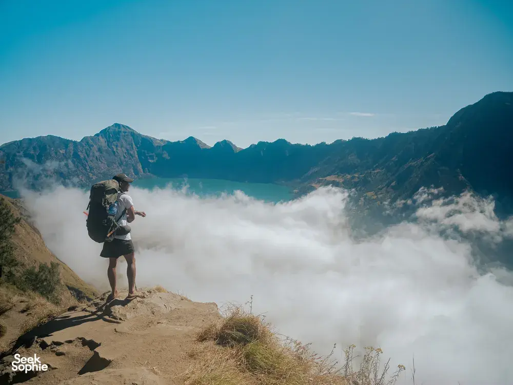 Seek Sophie option picture