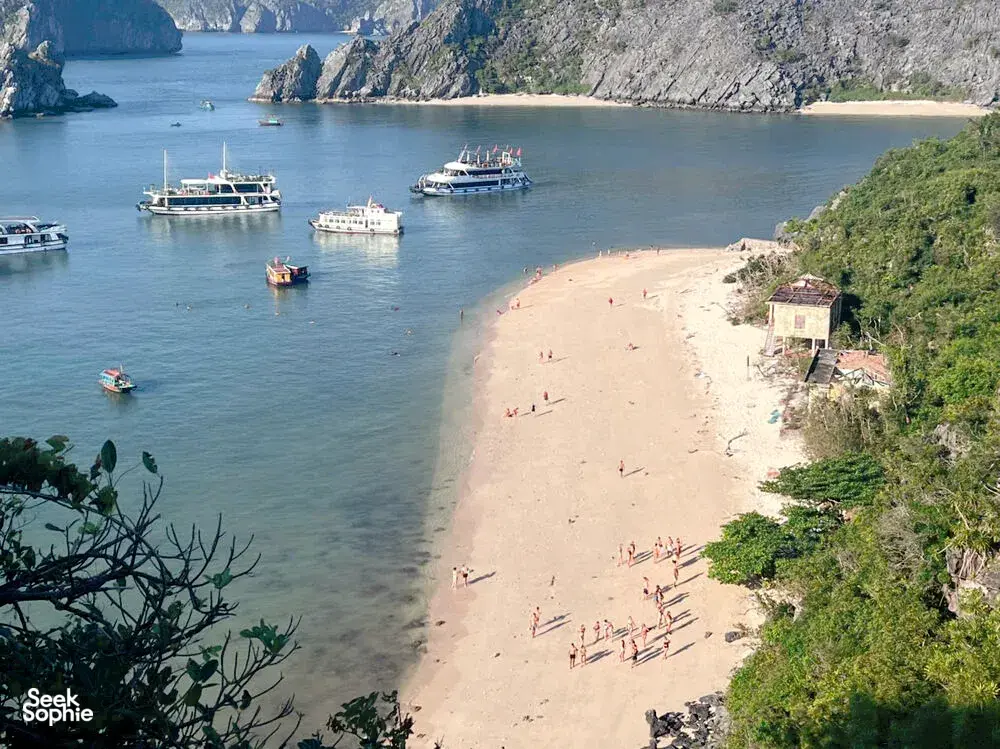 Seek Sophie option picture