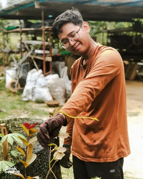 Farmer in an outdoor Langkawi permaculture garden picking leaves, wearing gloves and glasses as greenery surrounds him