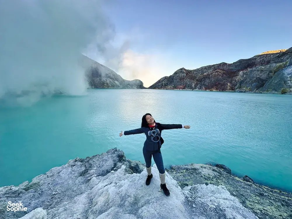 Seek Sophie option picture