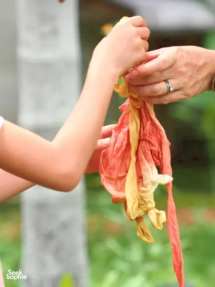 Seek Sophie option picture